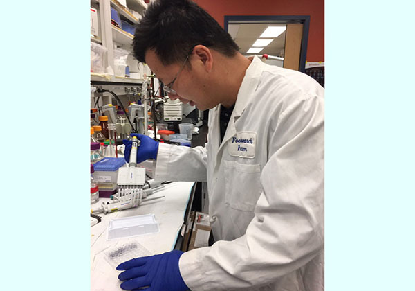 吳磊燕博士專注實驗